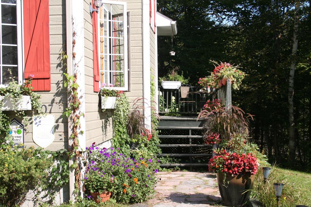 La Chaumiere De L'Anse Bed and Breakfast Mont-Tremblant Eksteriør billede