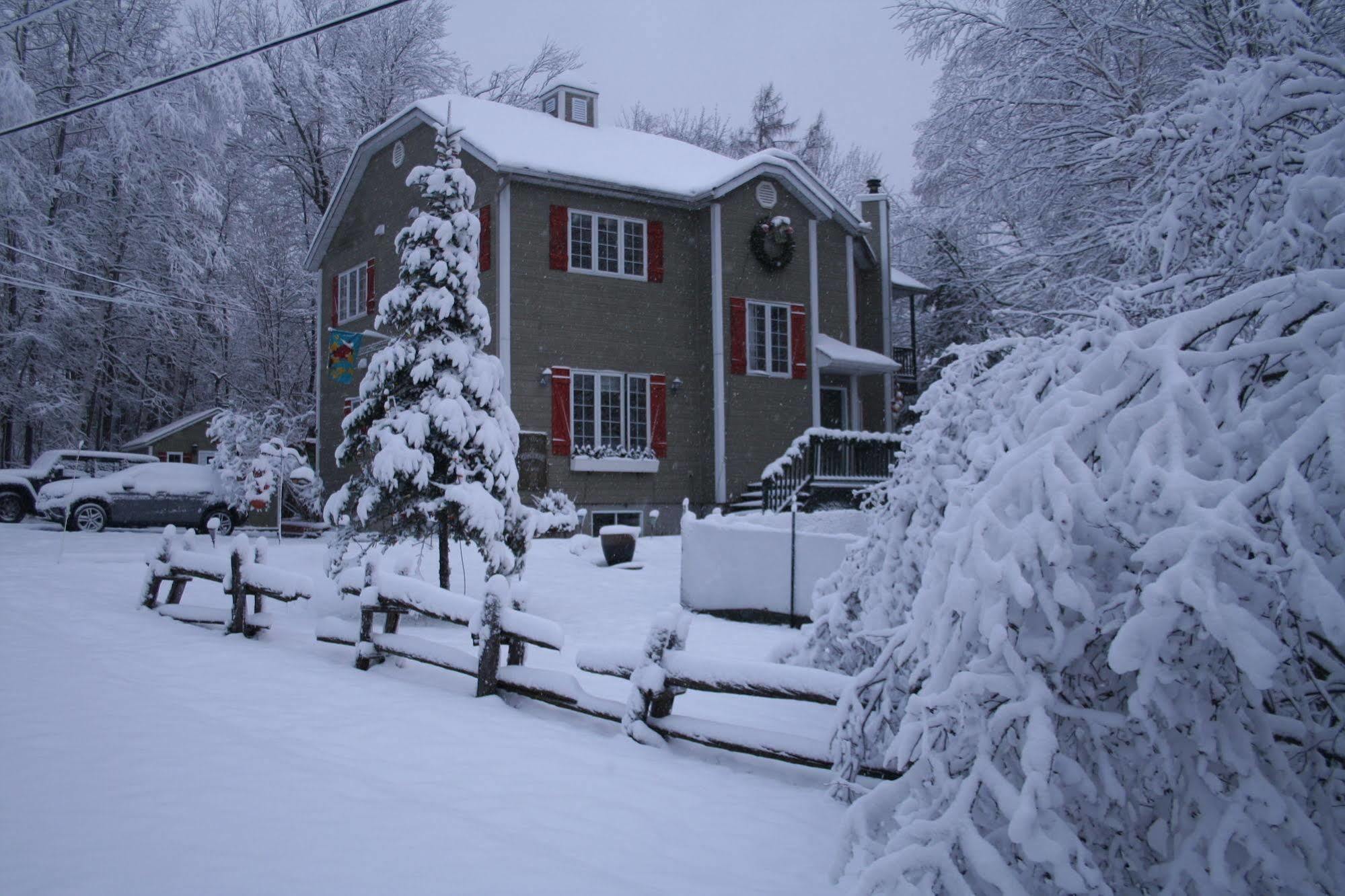 La Chaumiere De L'Anse Bed and Breakfast Mont-Tremblant Eksteriør billede